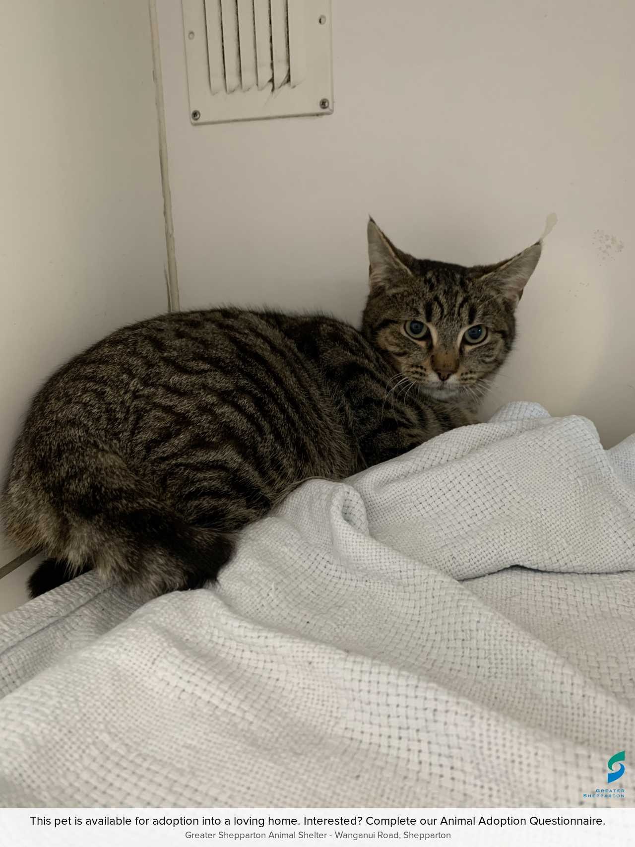 C250741Rocky