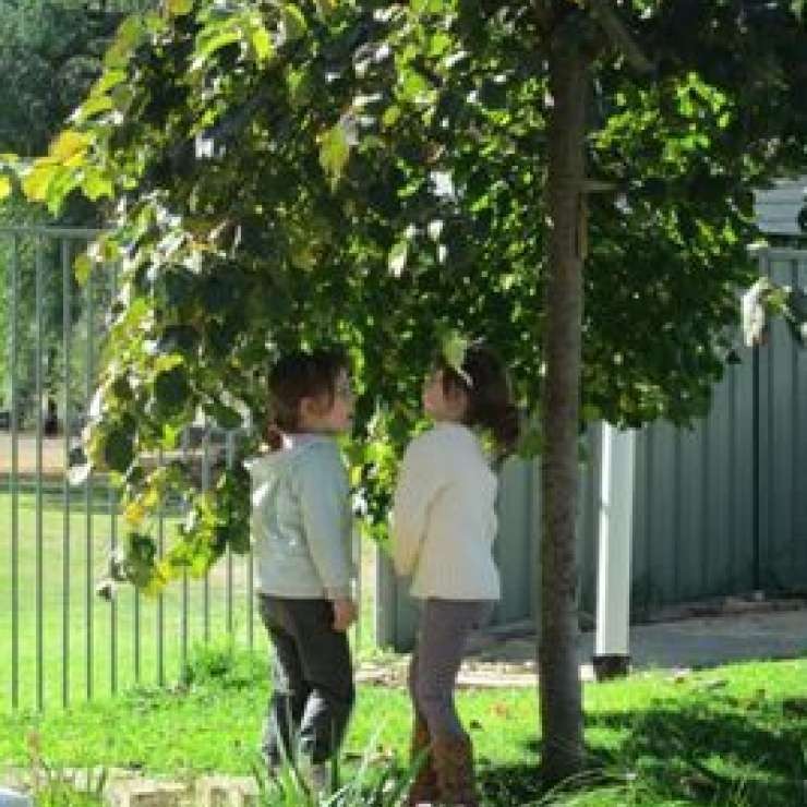 Murchison Pre-School - Secret Garden - "We received a Community Matching Grant to upgrade our run-down outdoor area with an exciting new play area. Parents, grandparents, staff and children worked together to design, create and will now maintain the garden for the benefit of the children in Murchison."