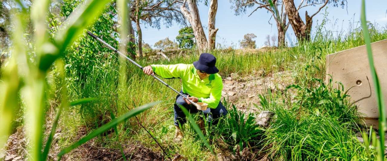 Mosquito Control Officer performing sample collection