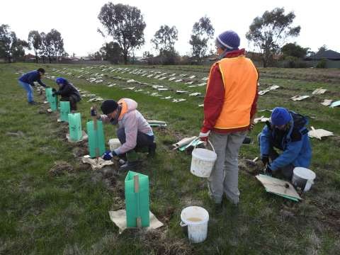 National Tree Day Photo 17