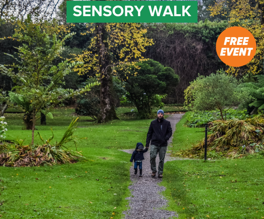 Cover image for event - Mindfulness Journey: Sensory Walk