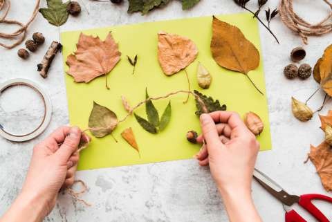 Nature Collaging