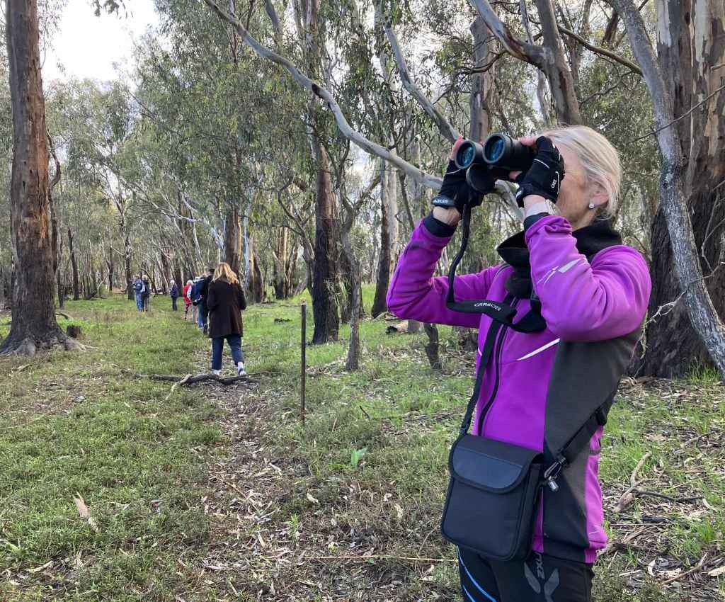 Cover image for event - Accessible Mindful Birding