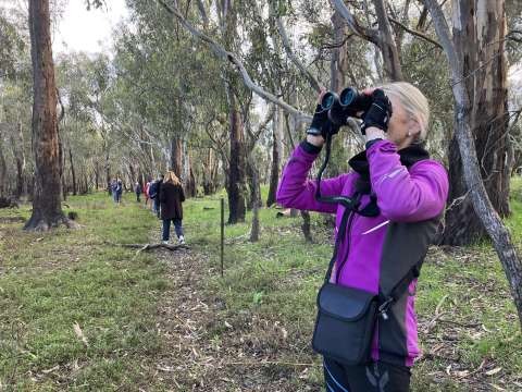 5041eec9-99e1-4a4b-b4ac-8390e0ebeb96