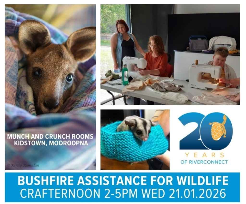 Cover image for event - Bushfire Assistance for Wildlife - Crafternoon