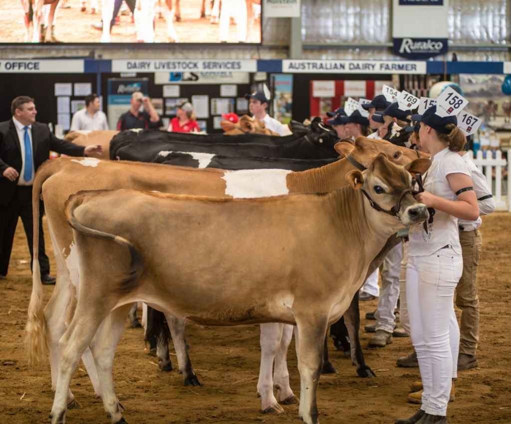 Cover image for event - International Dairy Week 2026