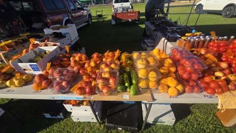 1774568105-20260322_091417