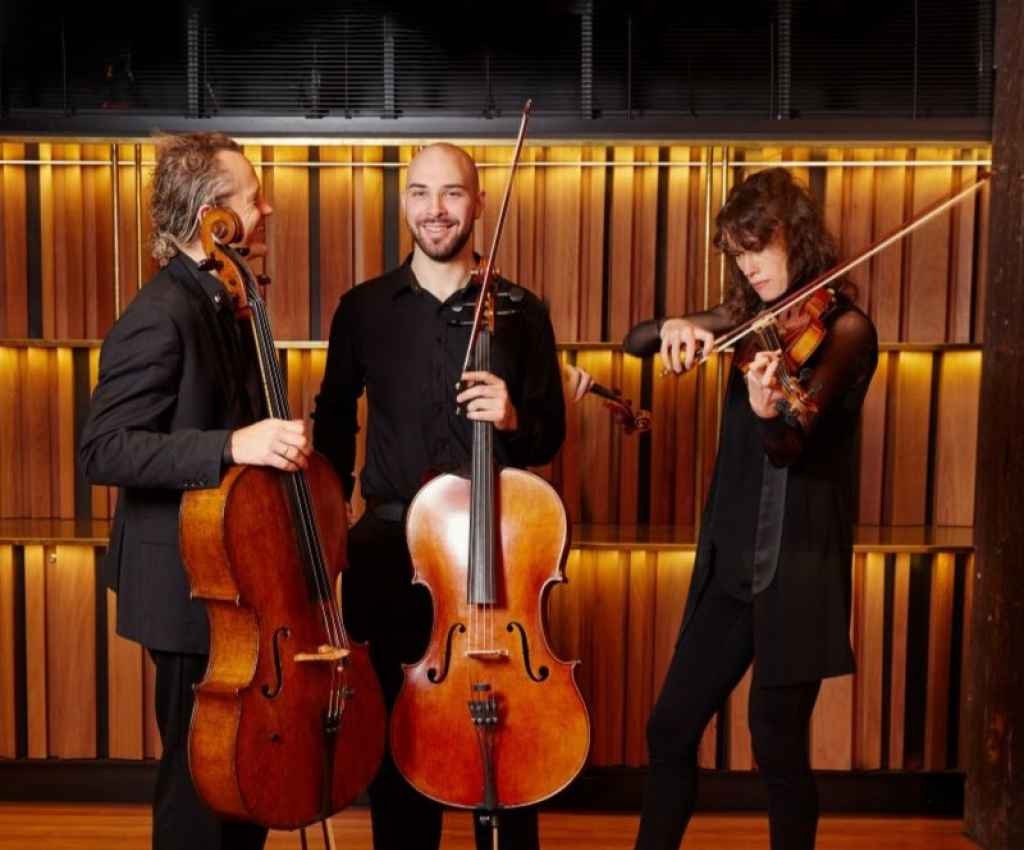 Cover image for event - Riverlinks & the Australian Chamber Orchestra present ACO Collective - Bach, Brahms & Pärt