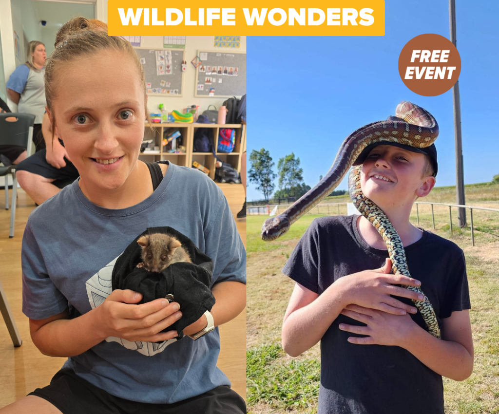 Cover image for event - Wildlife Wonders