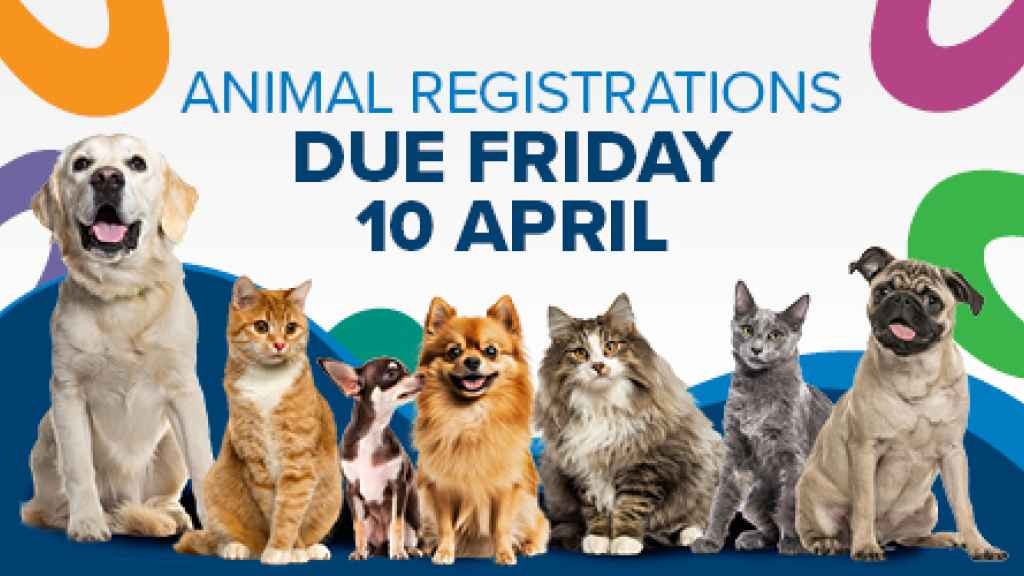 Cover graphic for Animal Registrations due Friday 10 April