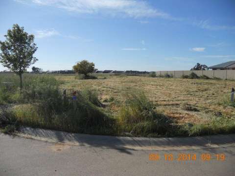 Long grass 