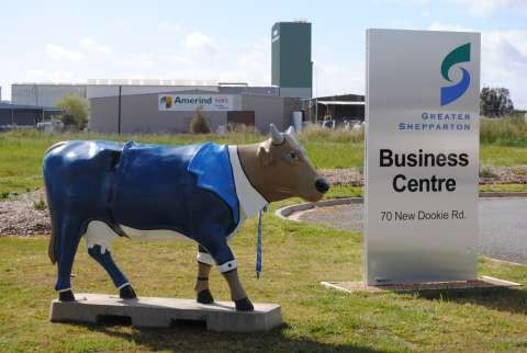 GSBC Cow 2010 005