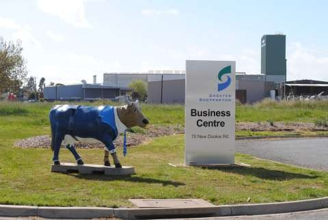 GSBC Cow 2010 001