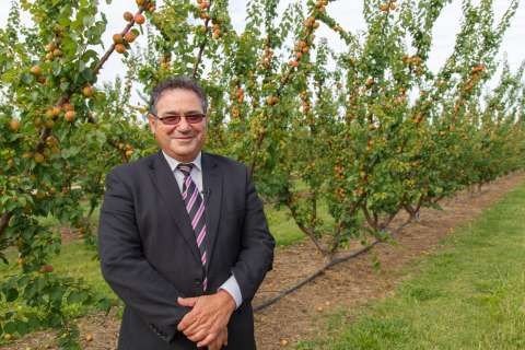 Councillor - Dinny -20151117-0753