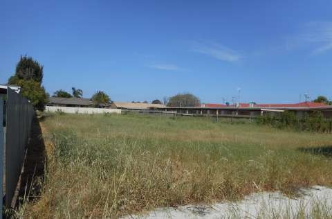 Vacant Block - Long Grass