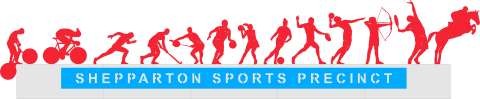 Sports Figures Group