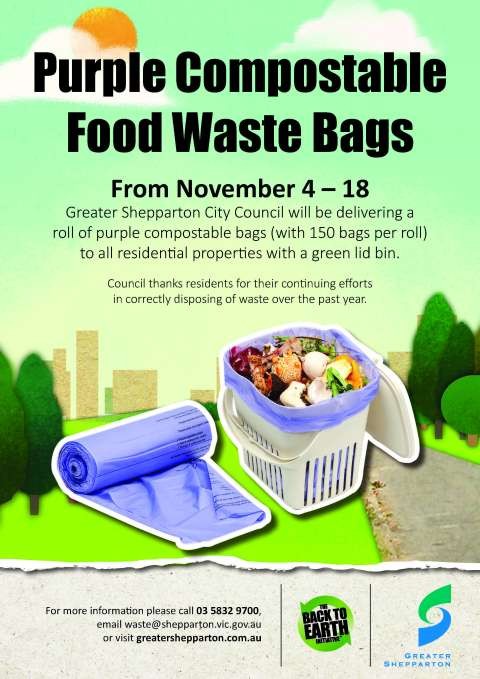 Back to Earth Purple Bags Poster