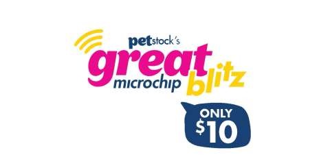 The PETstock Great Microchip Blitz Page 1