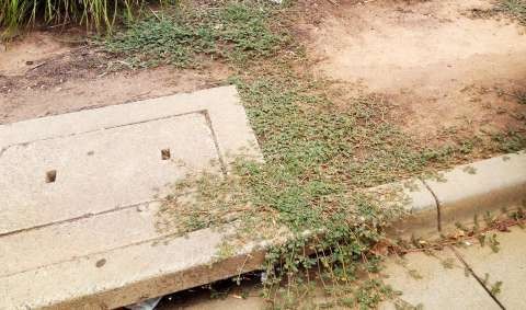 16245019 10212206265856918 1877063346 o