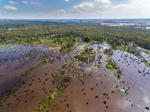 Reedy Swamp Aerial Drone - 20170110 - 0076