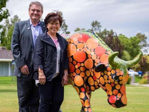 17425046 1856601347938412 7176855658440415037 n