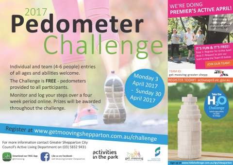Pedometer Challenge Flyer 2017
