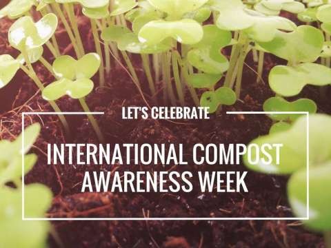 18301853 1318999018165151 2407302805850038625 n