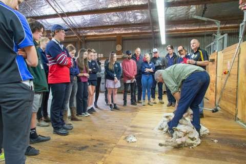 Dookie Food Fibre Careers - 20170518 - 8952