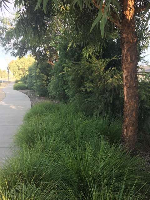 GBCMA landscape Guide