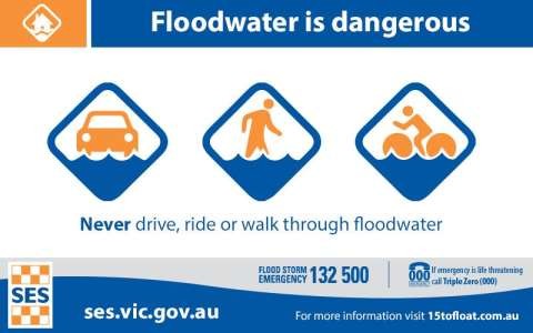 24174278 10155014977617541 8431385897089627137 n