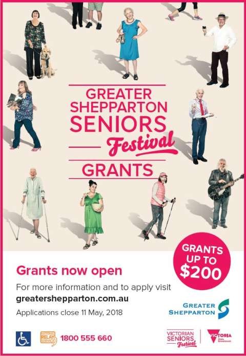 Seniors Festival Grant