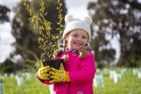 One Tree Per Child - 20160627 - 3834