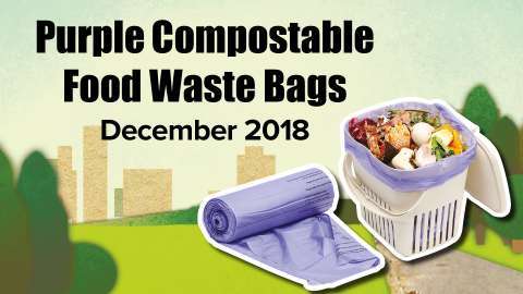 Purple Bags Social Media Image