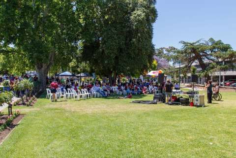 International Day of disability-20151203-0926