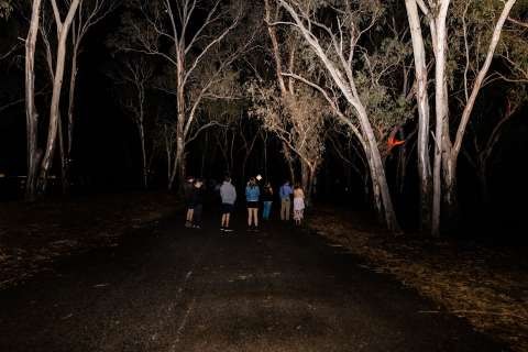 Bushwalking 19 of 40