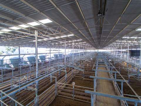 Shepparton Saleyards Aerial Drone - 20170308 - 0110