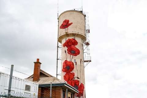 DSC02774-Edit.jpg_1600X1200_