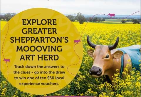 263173594 10158858717647476 5796228568466214434 n