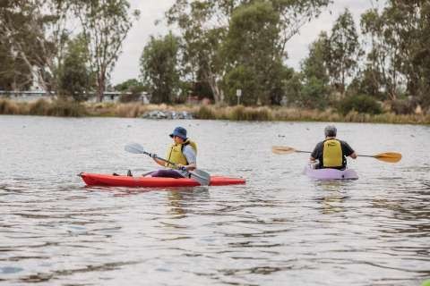 Paddlehub 16 02 2020-17