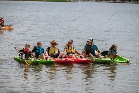 Paddlehub 16 02 2020-8