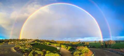Botanic Gardens - 20170807 - 4636
