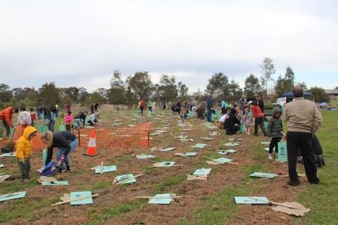 297080722 167622305823703 4202478864531445425 n