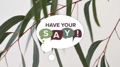 Shaping Greater Shepp