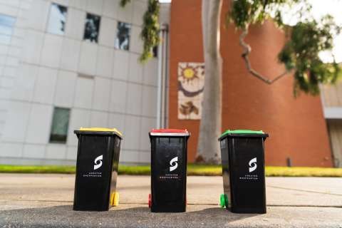 Bins 03  DSC0007 13 July 2023 Lingy