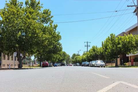 Welsford street trees-20160208-7340