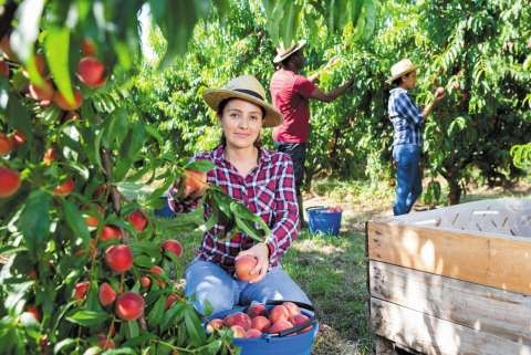 AdobeStock 371137916 Web