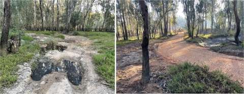 Council have engaged contractors to repair management tracks.