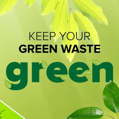 Green bag rollout Grid 02