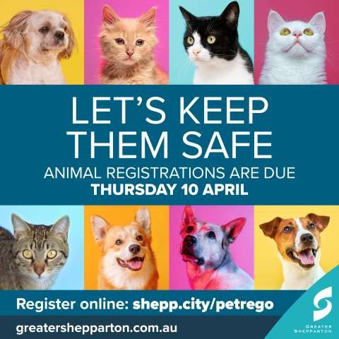 Animal Registration Social Media