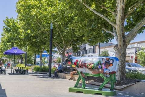 Shepparton Mall  DSC0297 Jonathan Egan 24